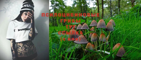 ешки Сатка