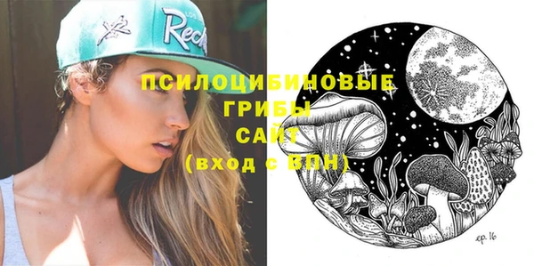 ешки Сатка