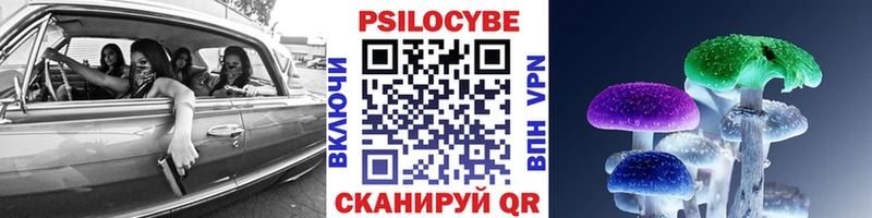 Псилоцибиновые грибы Magic Shrooms Старица