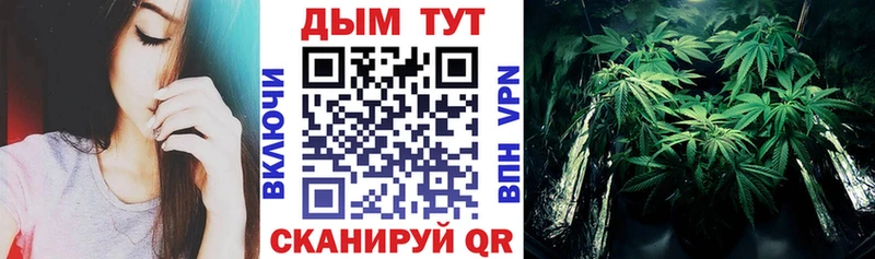 MEGA вход  дарнет шоп  Старица  Бошки марихуана VHQ 